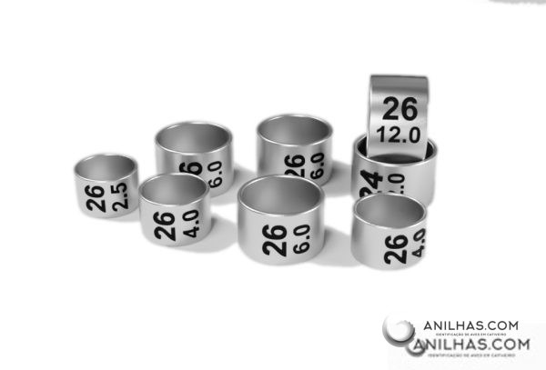 Closed Bird Rings Reinforced Stainless Steel Year 2026